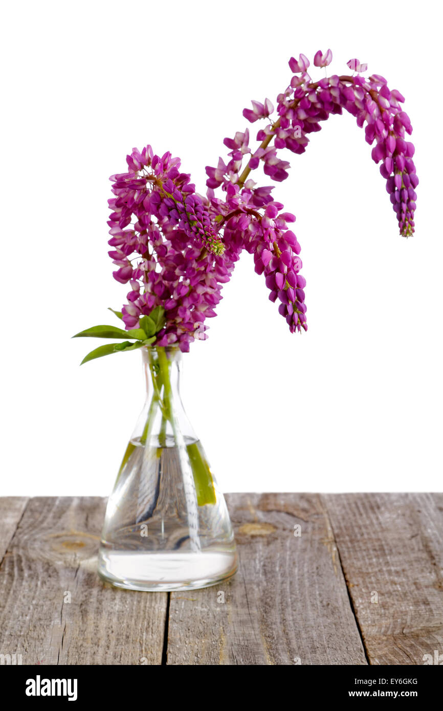 Fiori di lupino in un vaso di vetro sulle vecchie schede madri Foto Stock