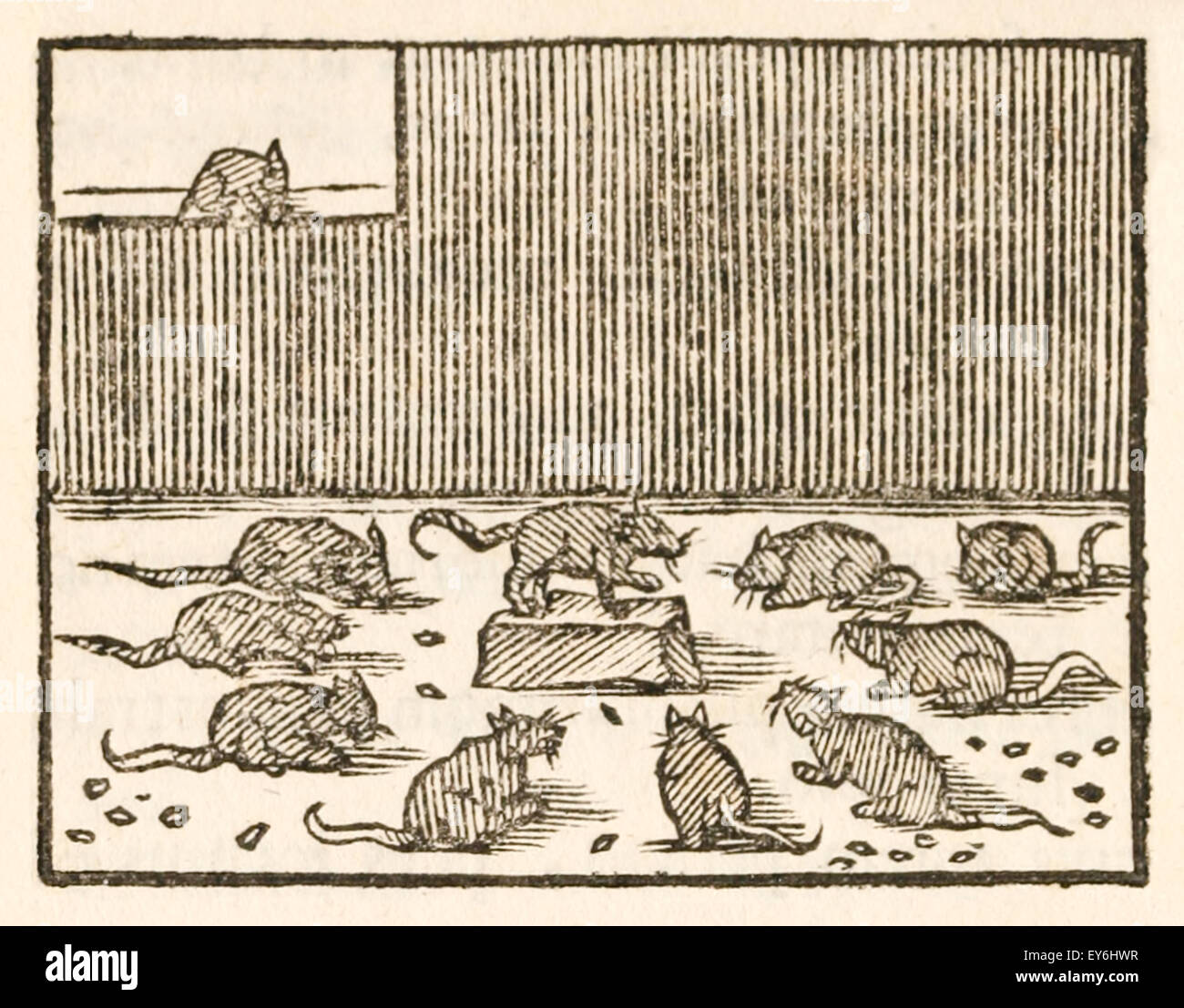 Il mouse racconta la sua parentela come la rana re annegato uno del loro numero e tracciare il loro spirito di vendetta - Illustrazione dal 'Batrachomyomachia' (Battaglia delle rane e topi) una parodia di Omero il poema epico il Iliad (circa 1200BC) risalenti a circa 300BC. Xvii secolo stampa xilografia illustrante Esopo favole. Vedere la descrizione per maggiori informazioni. Foto Stock