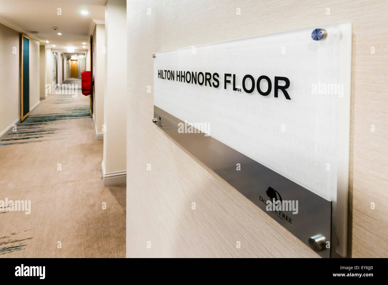 Hilton Hhonors pavimento esecutivo in un hotel Doubletree. Foto Stock