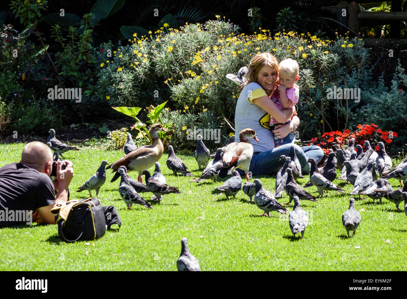 Città del Capo Sud Africa,Centro citta',centro,viale del Governo,Giardino della Compagnia,parco pubblico,donna donna donne,madre,ragazza ragazze,giovane,femmina capretto Foto Stock