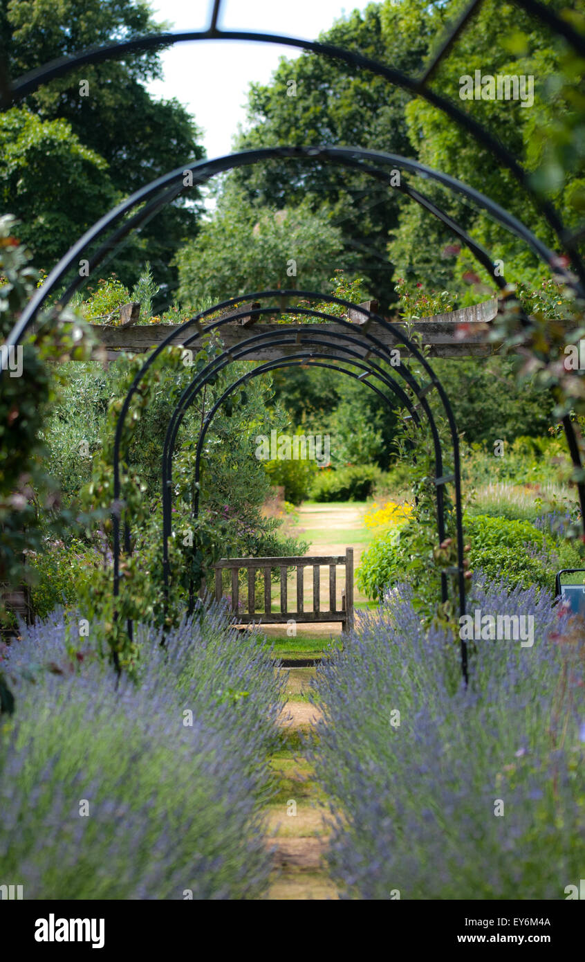 Idilliaco estate urbano - panca circondato da i fiori di lavanda in Kew Botanical Gardens, London REGNO UNITO Foto Stock