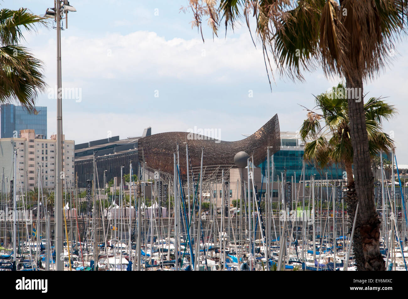 Peix d' o, Port Olimpic Barcelona Foto Stock