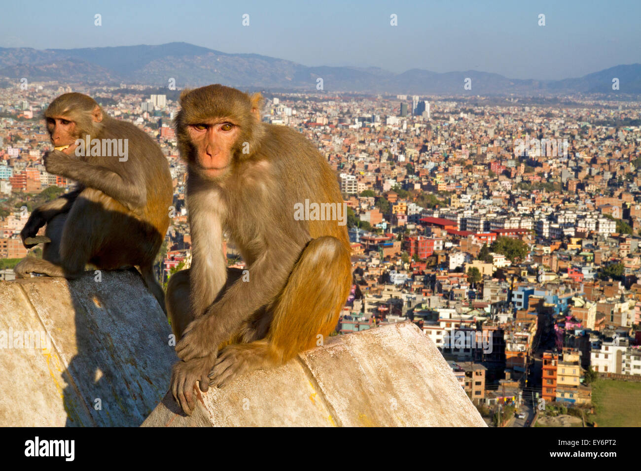 Vista su Kathmandu da Swayambhunath, il cosiddetto tempio delle scimmie Foto Stock