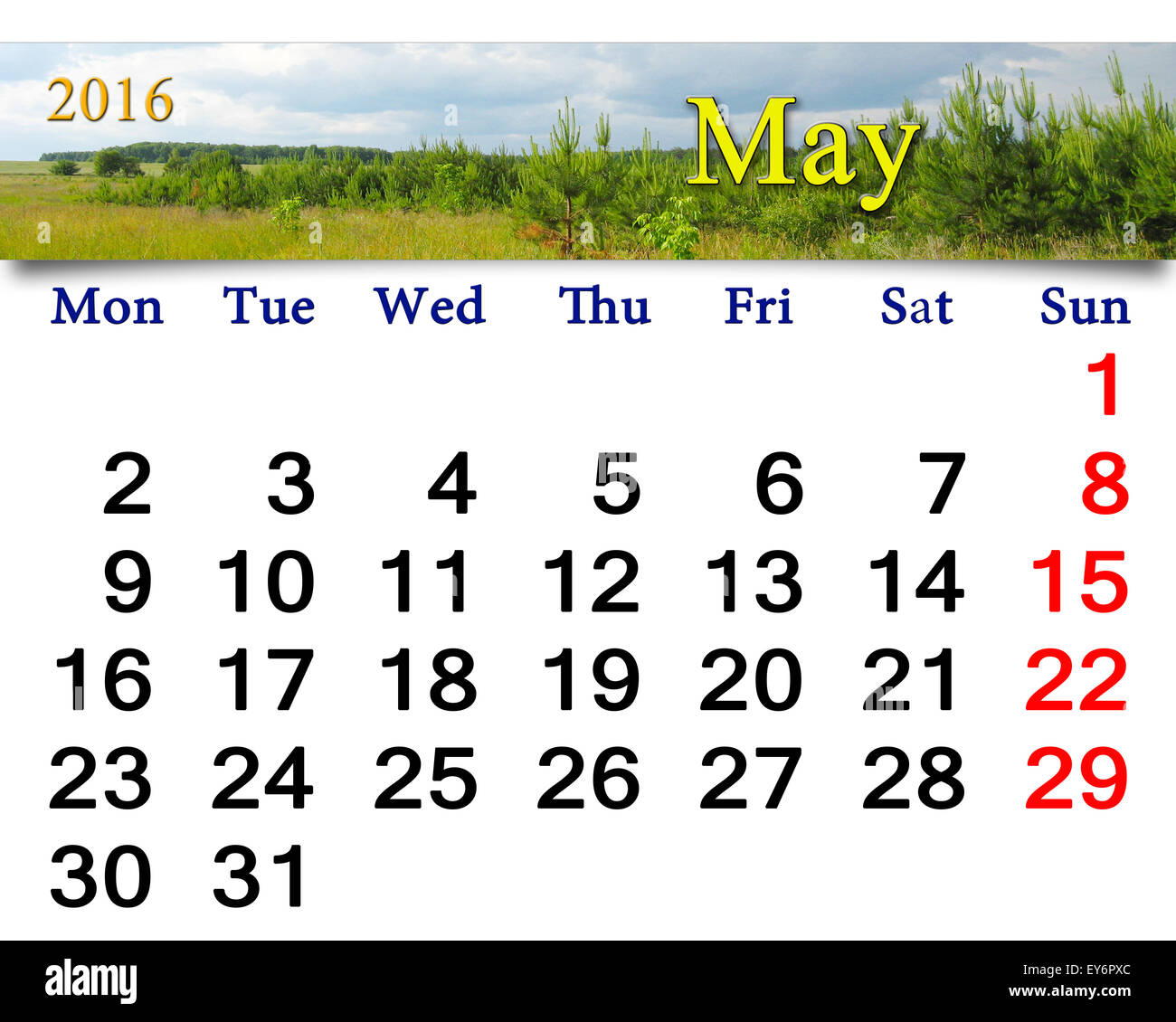 Calendario per il mese di maggio 2016 con il paesaggio con le nuvole temporalesche sotto i pini Foto Stock