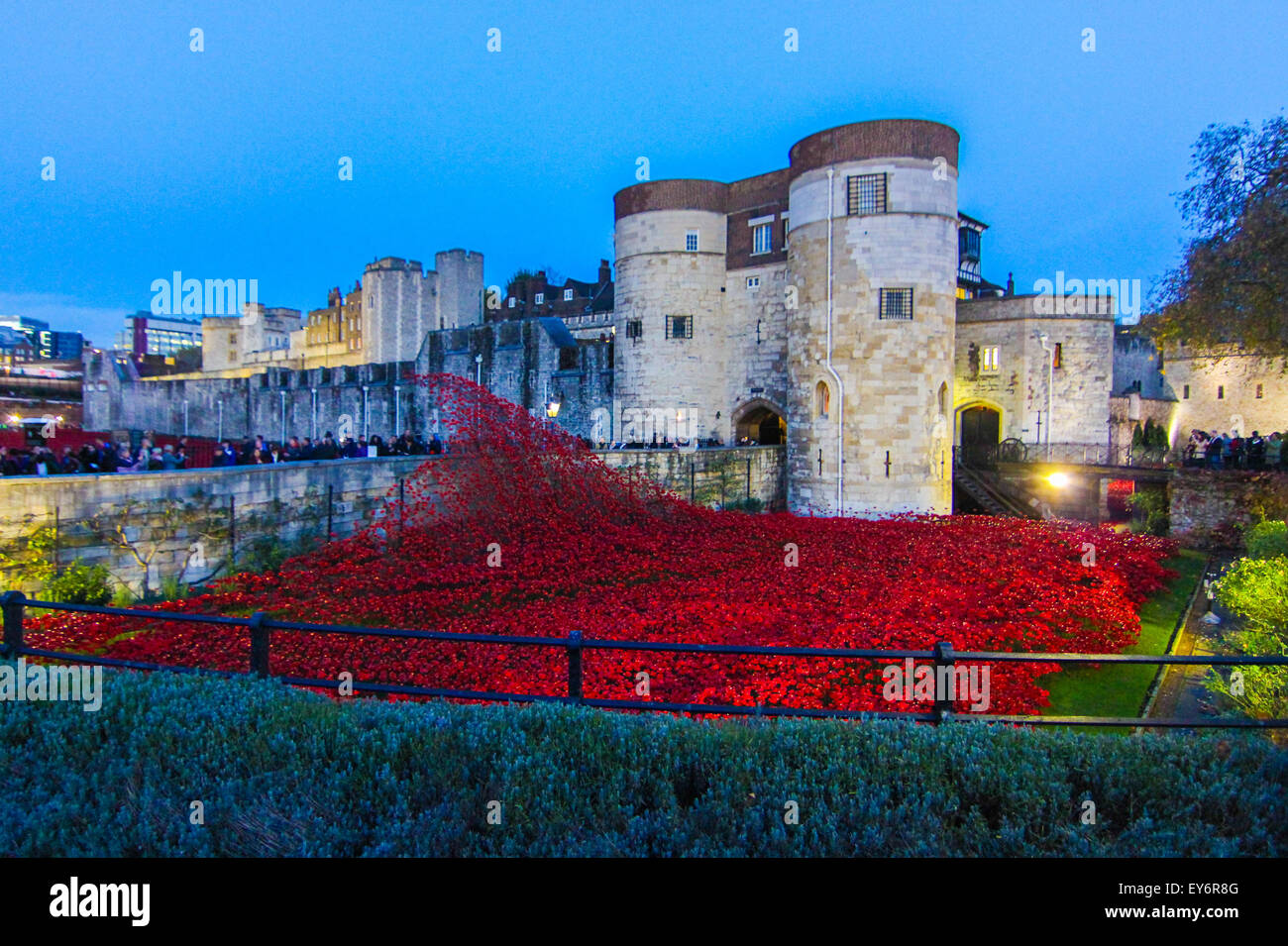 Papaveri presso la Torre di Londra 2014 per il giorno del ricordo per commemorare i soldati che sono morti nella guerra Foto Stock