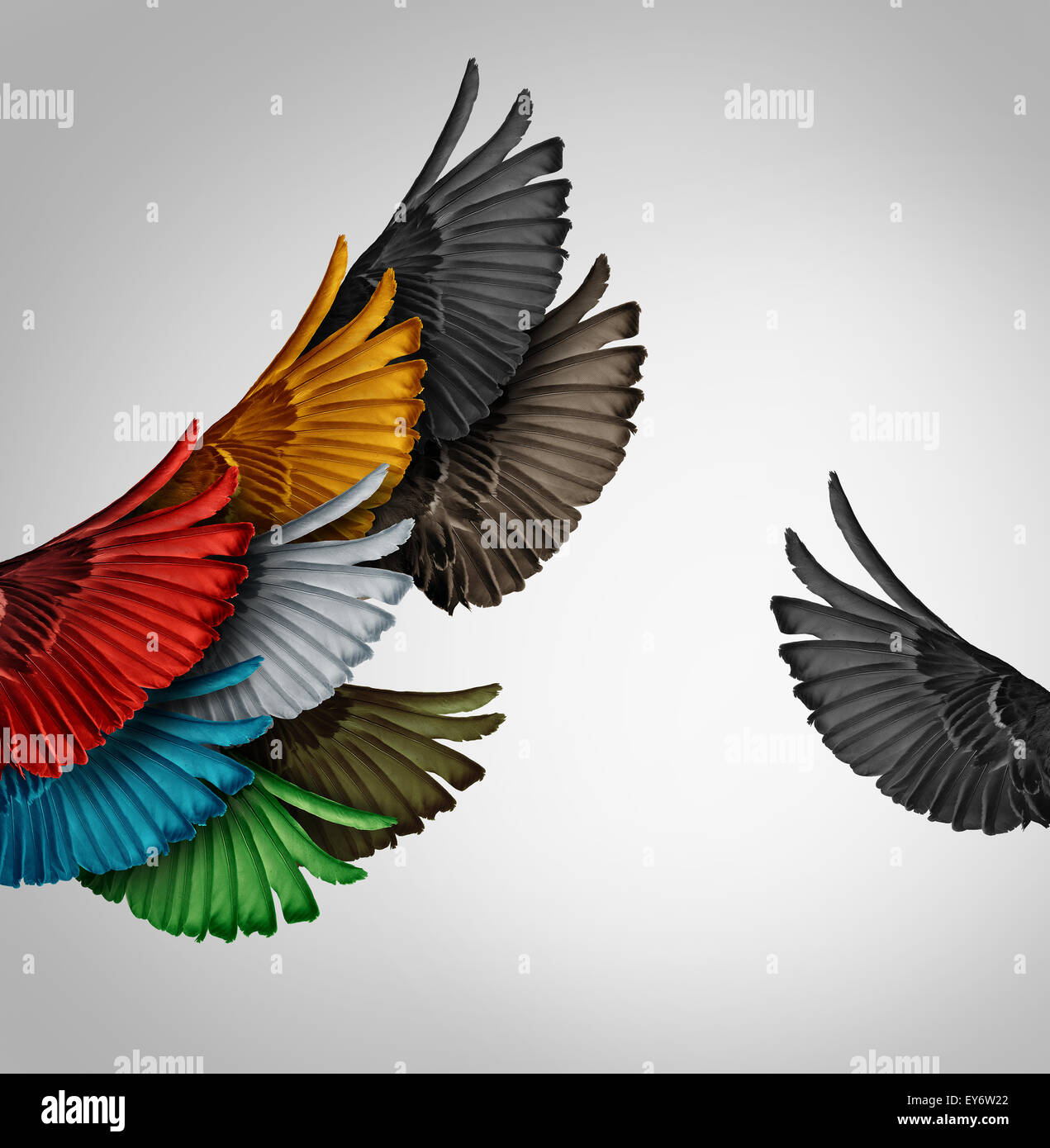 Andare da soli pensatore insolita leadership leader o il nuovo concetto di leadership e individualità come un gruppo di nazioni di volo di uccelli wi Foto Stock