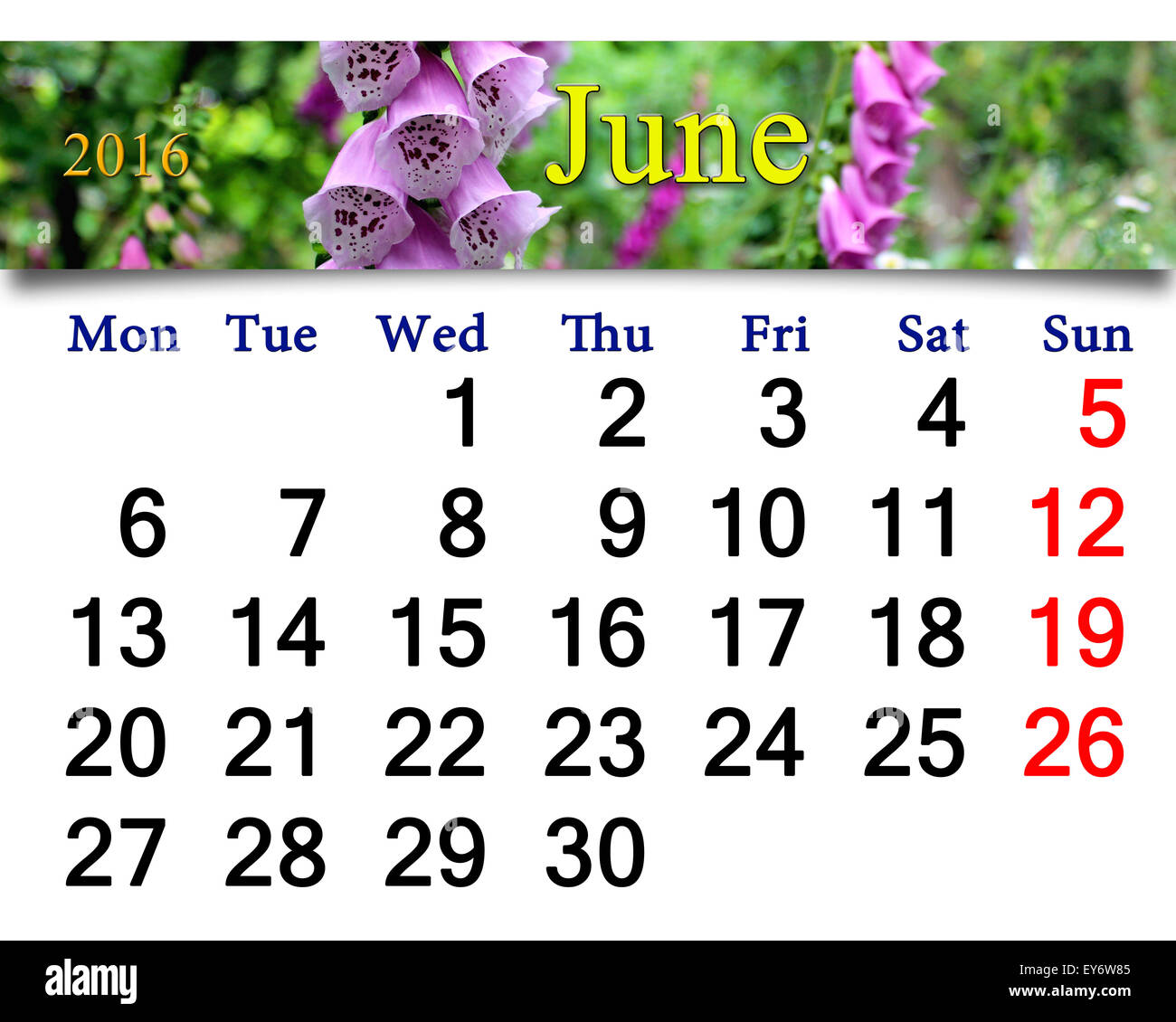 Calendario per il mese di maggio 2016 con fiori di fiori lilla bluebells Foto Stock