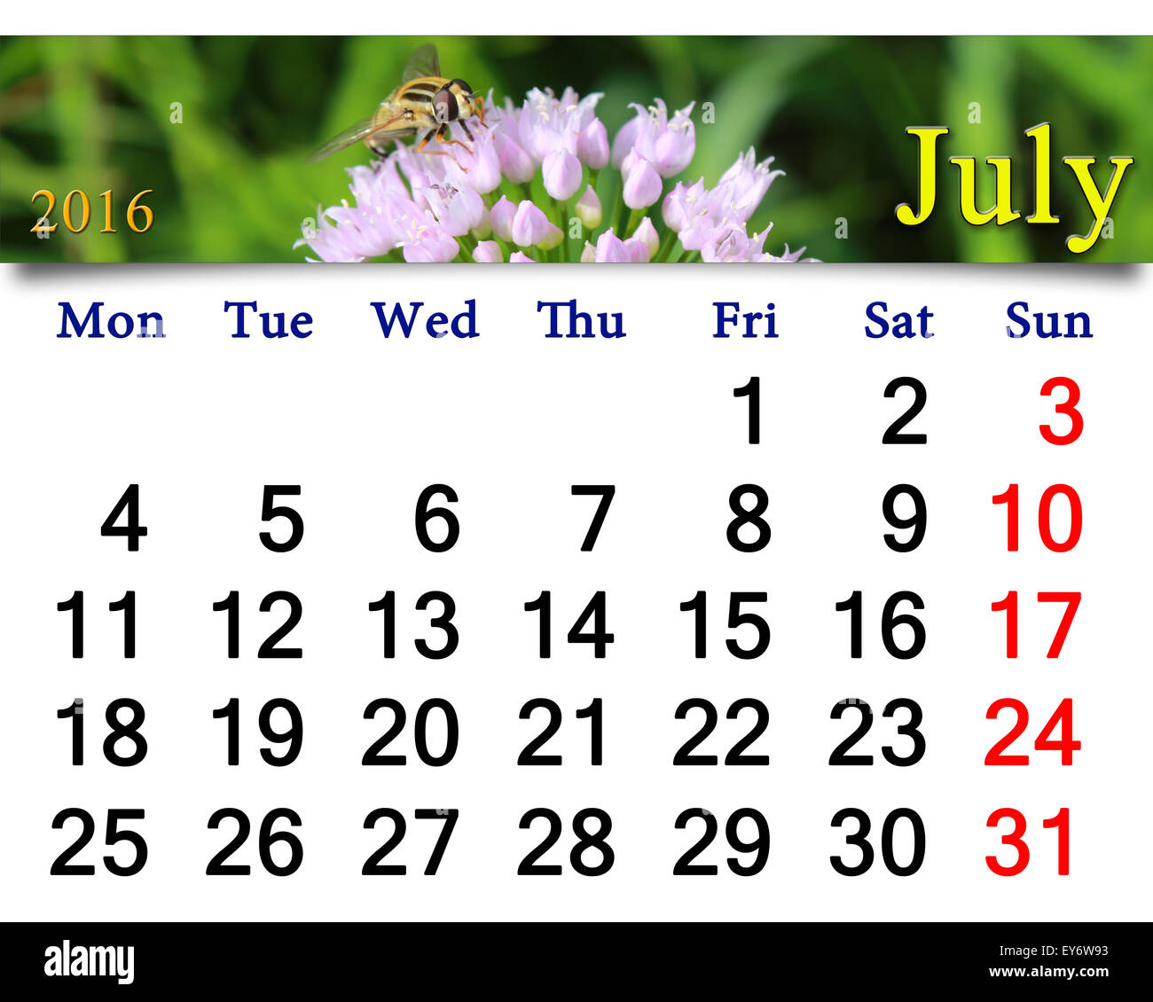 Calendario per il mese di giugno 2016 con macro di volare su il fiore Foto Stock
