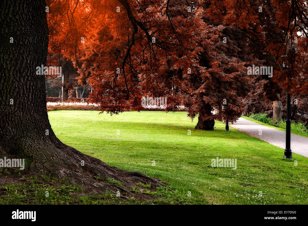 I colori autunnali city park Foto Stock