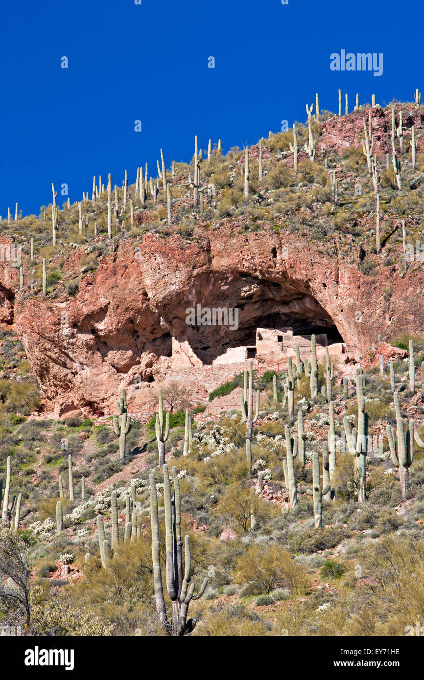 Ben conservato cliff dwellings a Tonto monumento nazionale, Arizona, Stati Uniti d'America Foto Stock