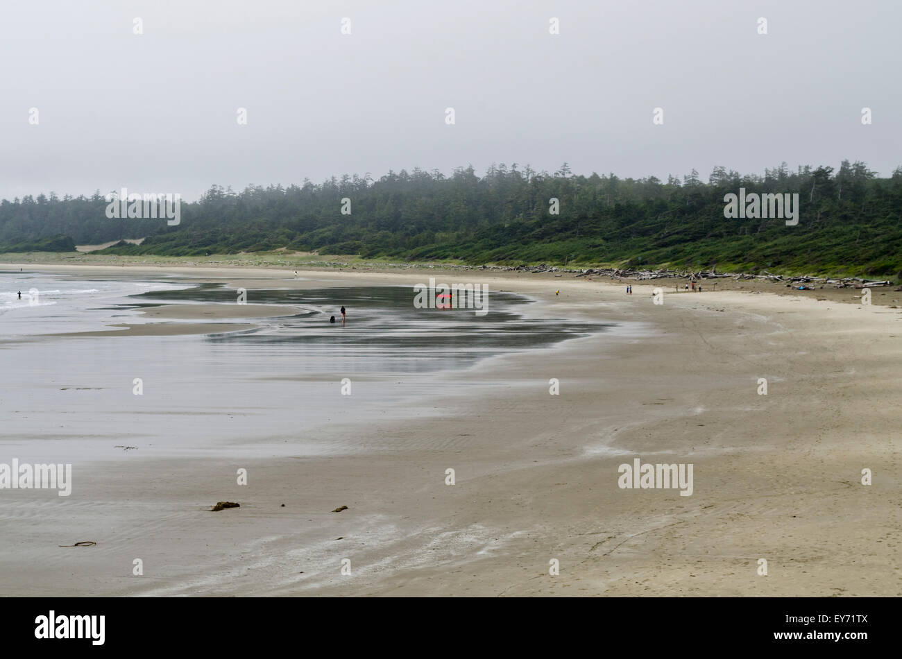 Piovosa giornata di nebbia a Wickanninish Beach a Long Beach sull'Isola di Vancouver. Pacific Rim National Park Riserva, Canada. Foto Stock