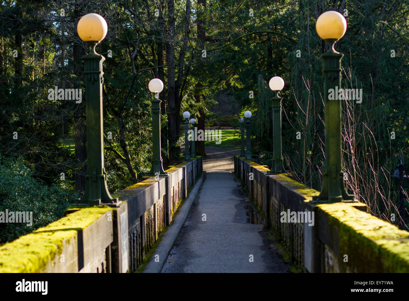 Un vecchio sentiero attraverso la Seattle Arboretum Foto Stock