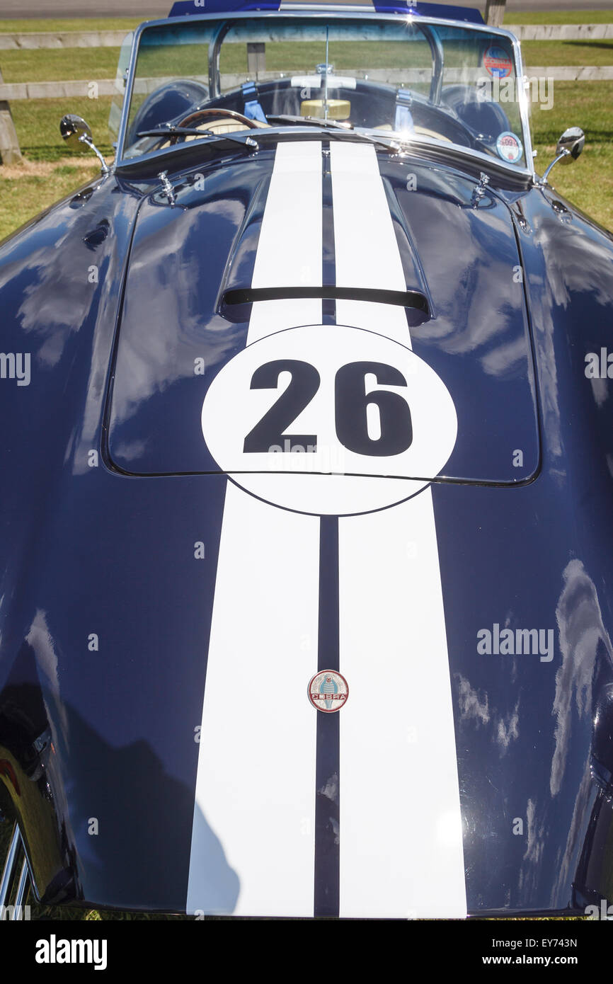 Auto Cobra Foto Stock
