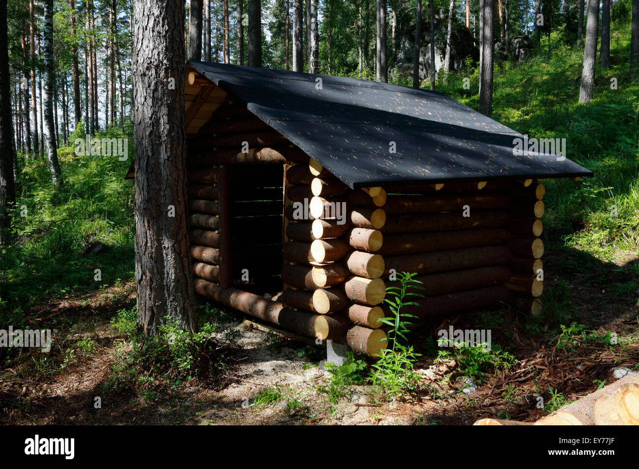 Piccolo capannone per il rimessaggio in foresta, Finlandia Foto Stock
