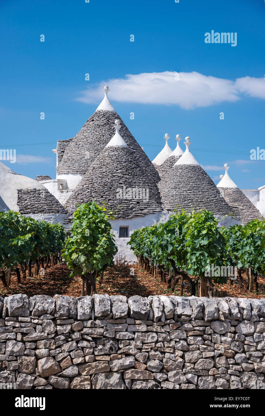 Vigne e trulli tra Alberobello e Locorotondo, Puglia, Italia. Foto Stock