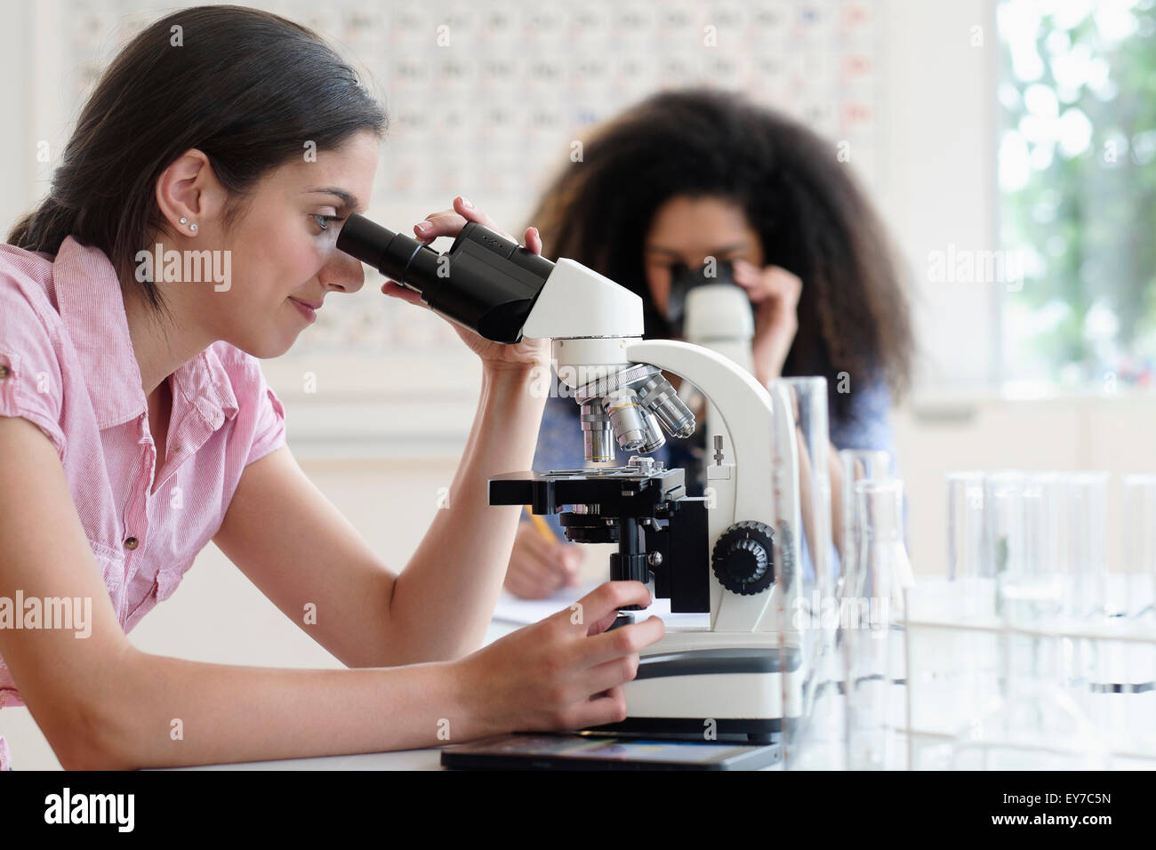 Le ragazze adolescenti (14-15, 16-17) utilizzando il microscopio nella classe di scienze Foto Stock