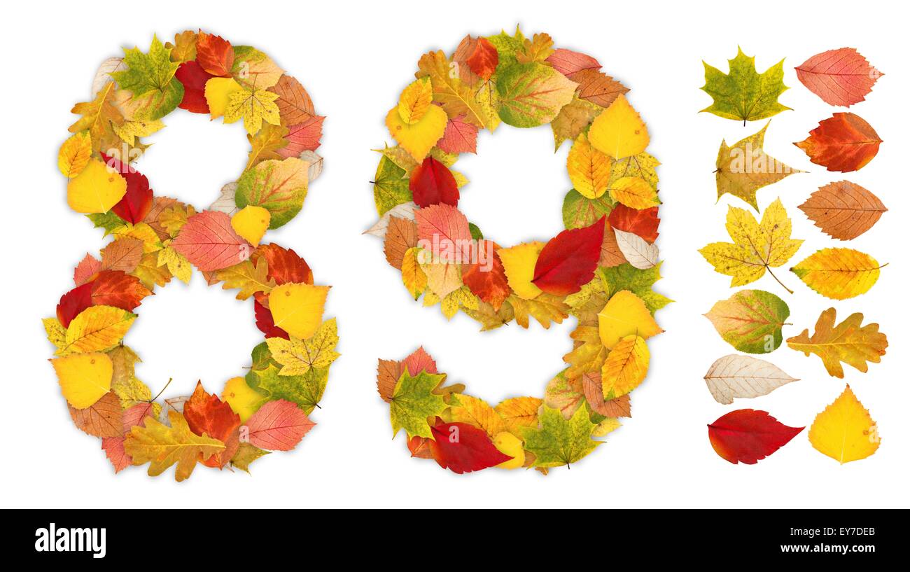 Con i numeri 8 e 9 fatto di colorate Foglie di autunno. Design autonomo elementi attaccati Foto Stock