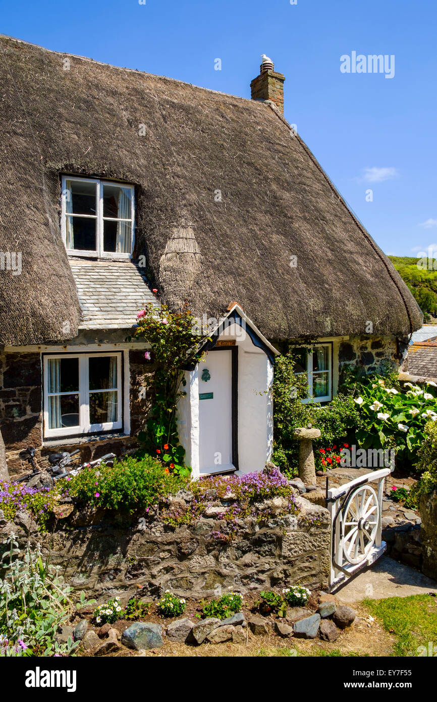 Cottage con il tetto di paglia nel piccolo villaggio di Cadgwith, penisola di Lizard, Cornwall Regno Unito Foto Stock