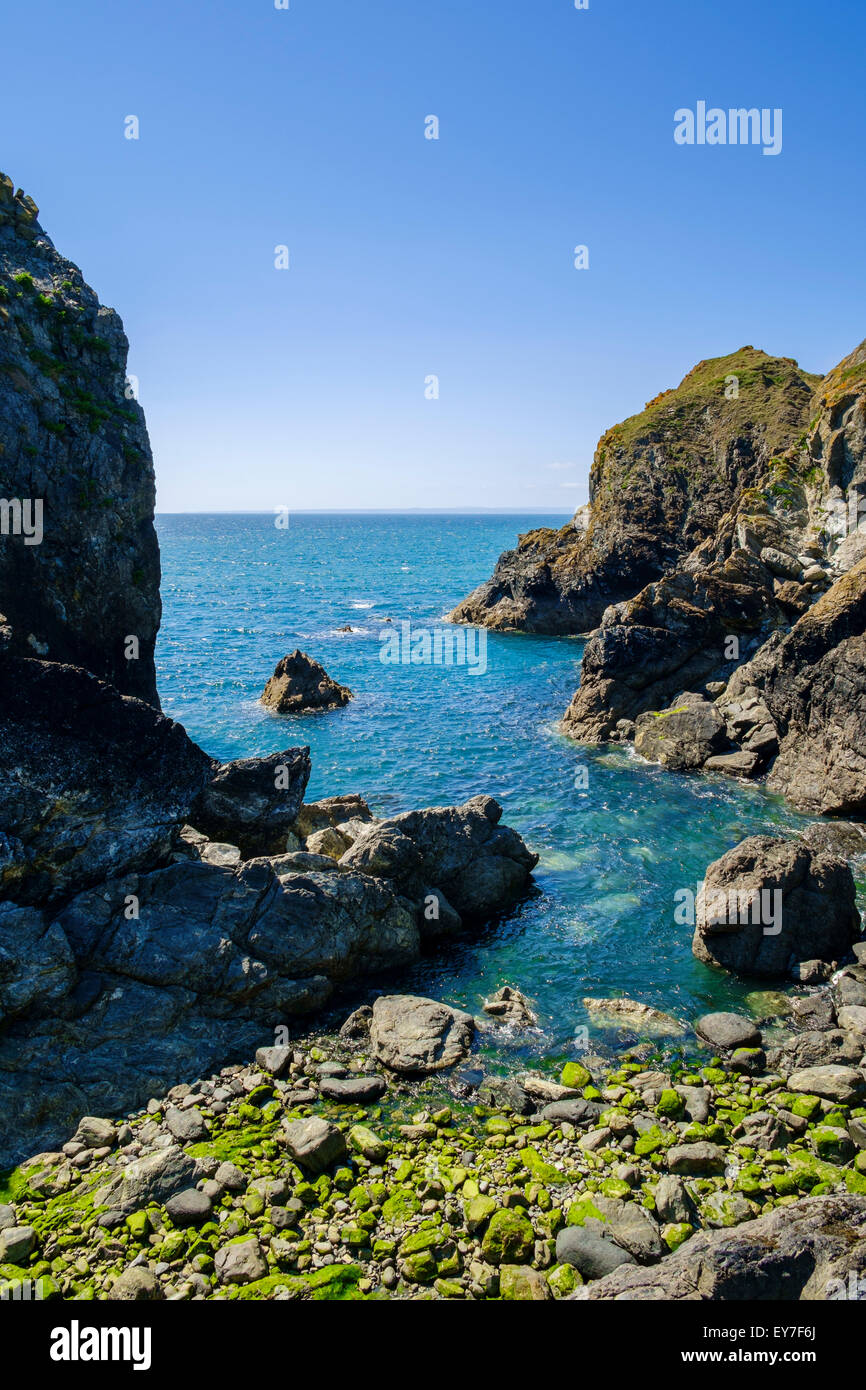 Rocce e capezzagna a Mullion Cove, penisola di Lizard, Cornwall, Regno Unito Foto Stock