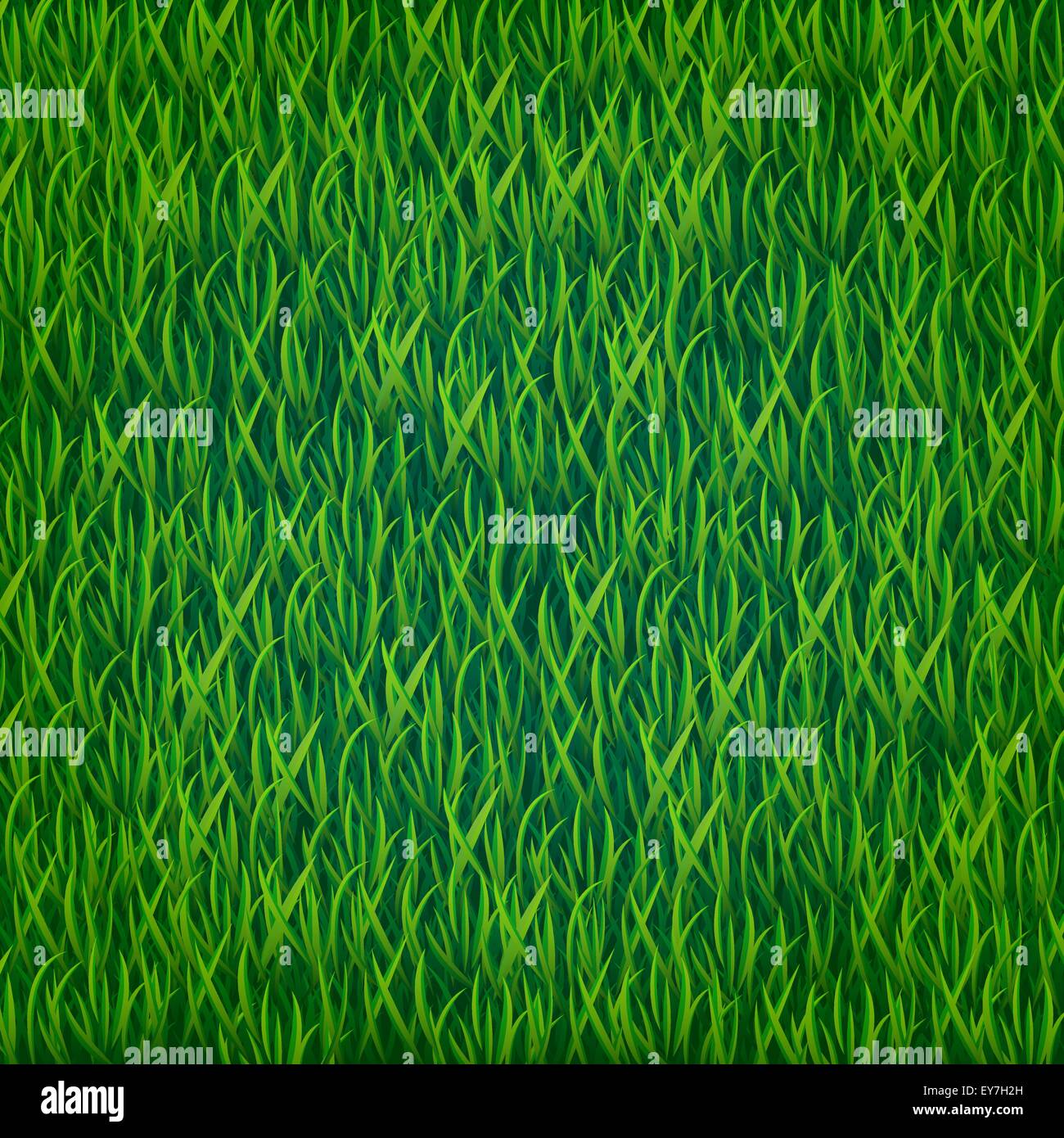 Vettore di erba verde sullo sfondo Illustrazione Vettoriale