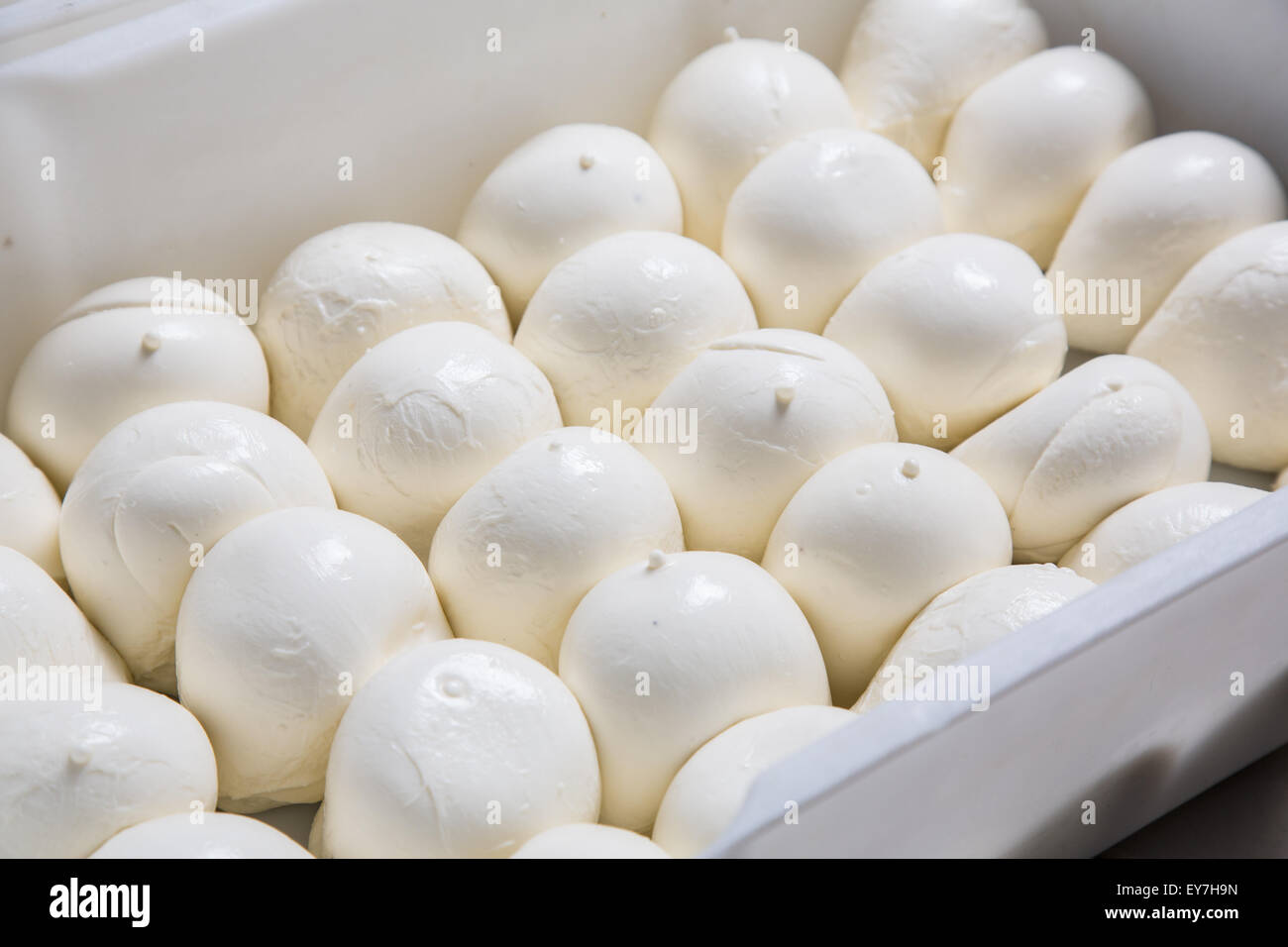 Mozzarella Fresca capi giacenti in un box su una produzione Foto Stock