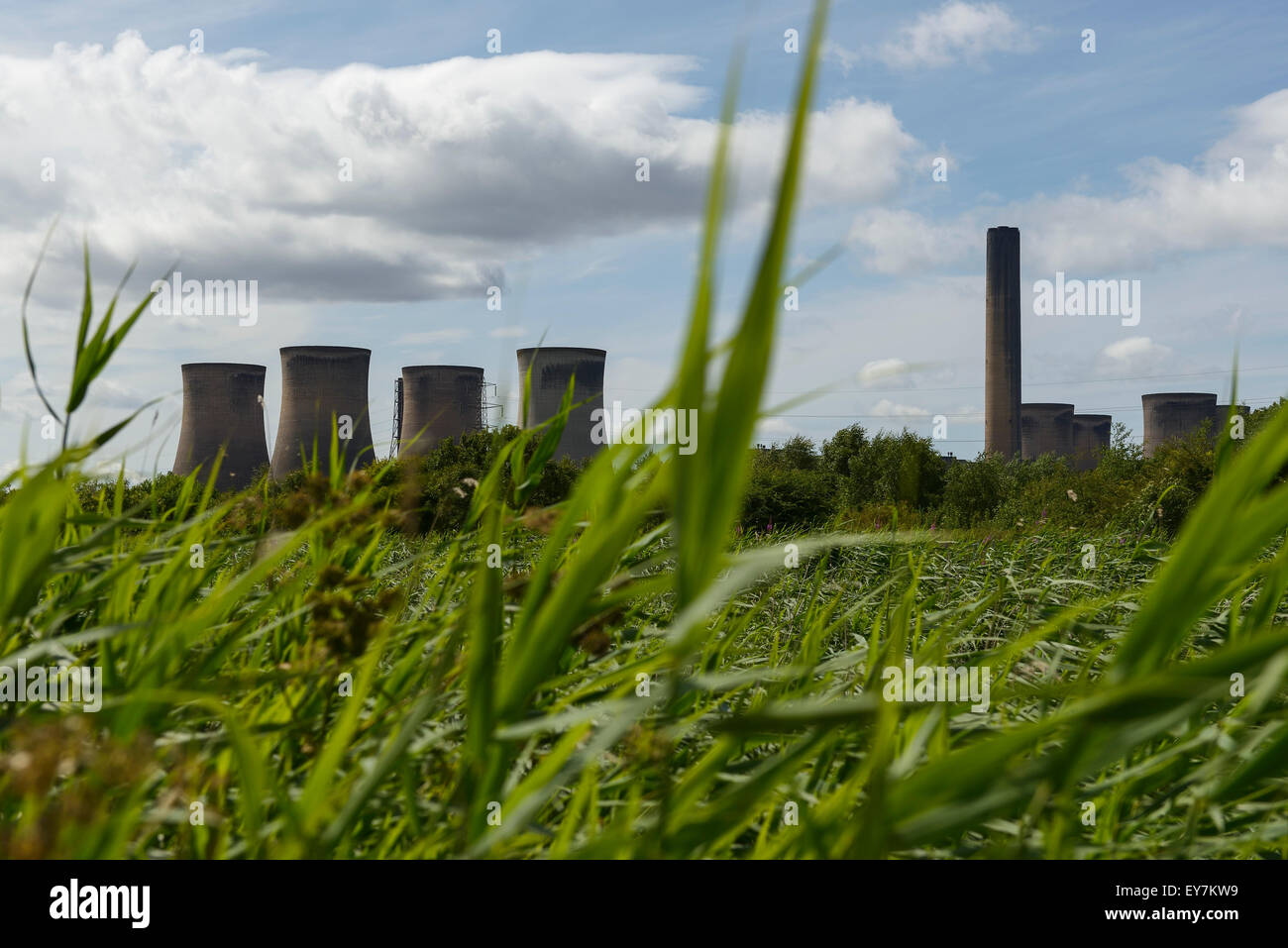 Fiddlers Ferry power station osservata attraverso alta vegetazione REGNO UNITO Foto Stock