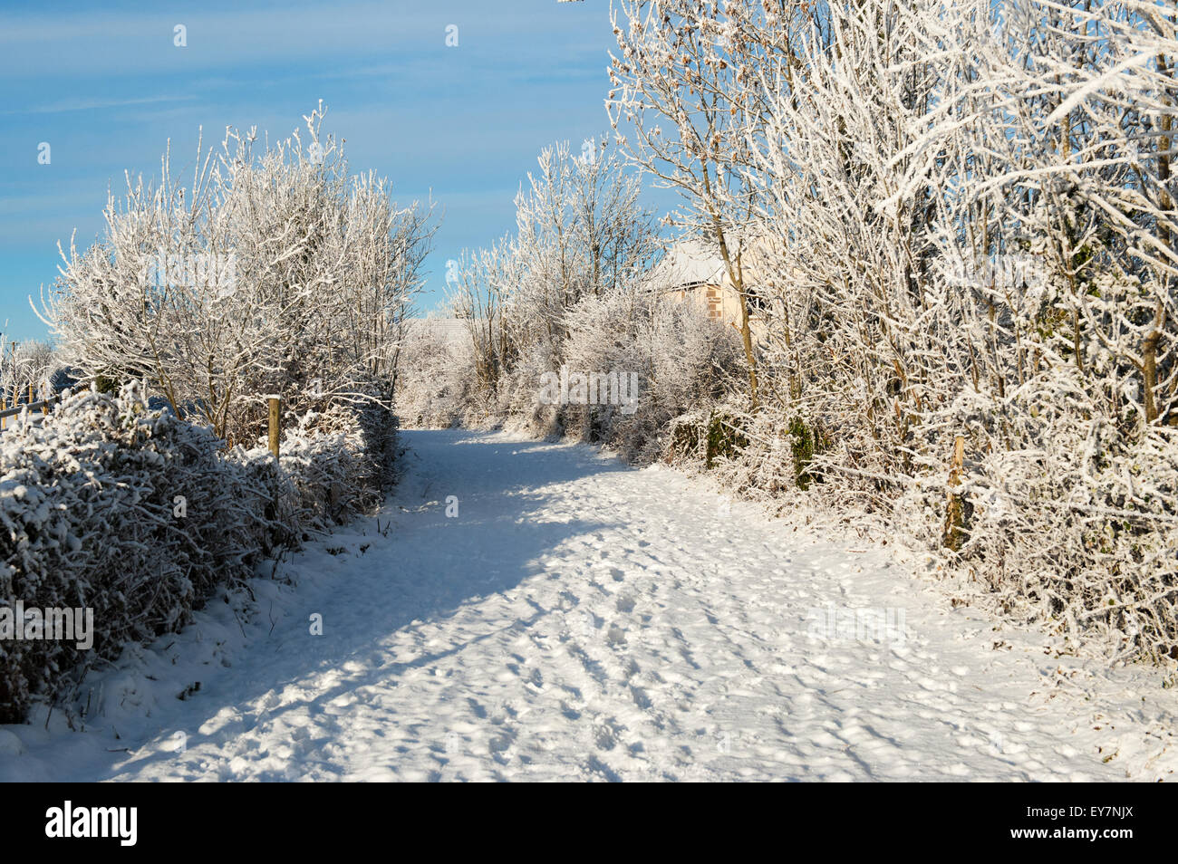 Inverno bella strada di campagna Foto Stock