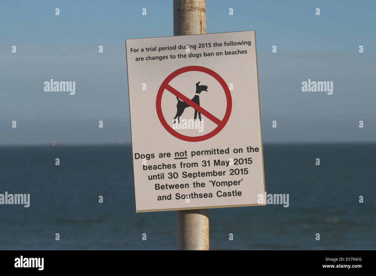 No cani sulla spiaggia di segno. Portsmouth. Regno Unito Foto Stock