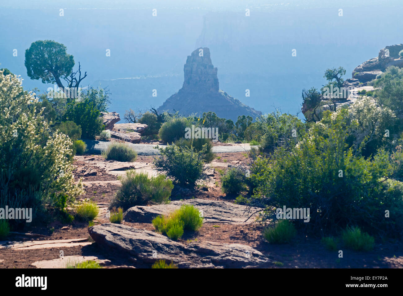 Misterioso paesaggio fantastico, Utah, Stati Uniti d'America, Nord America, Stati Uniti Foto Stock