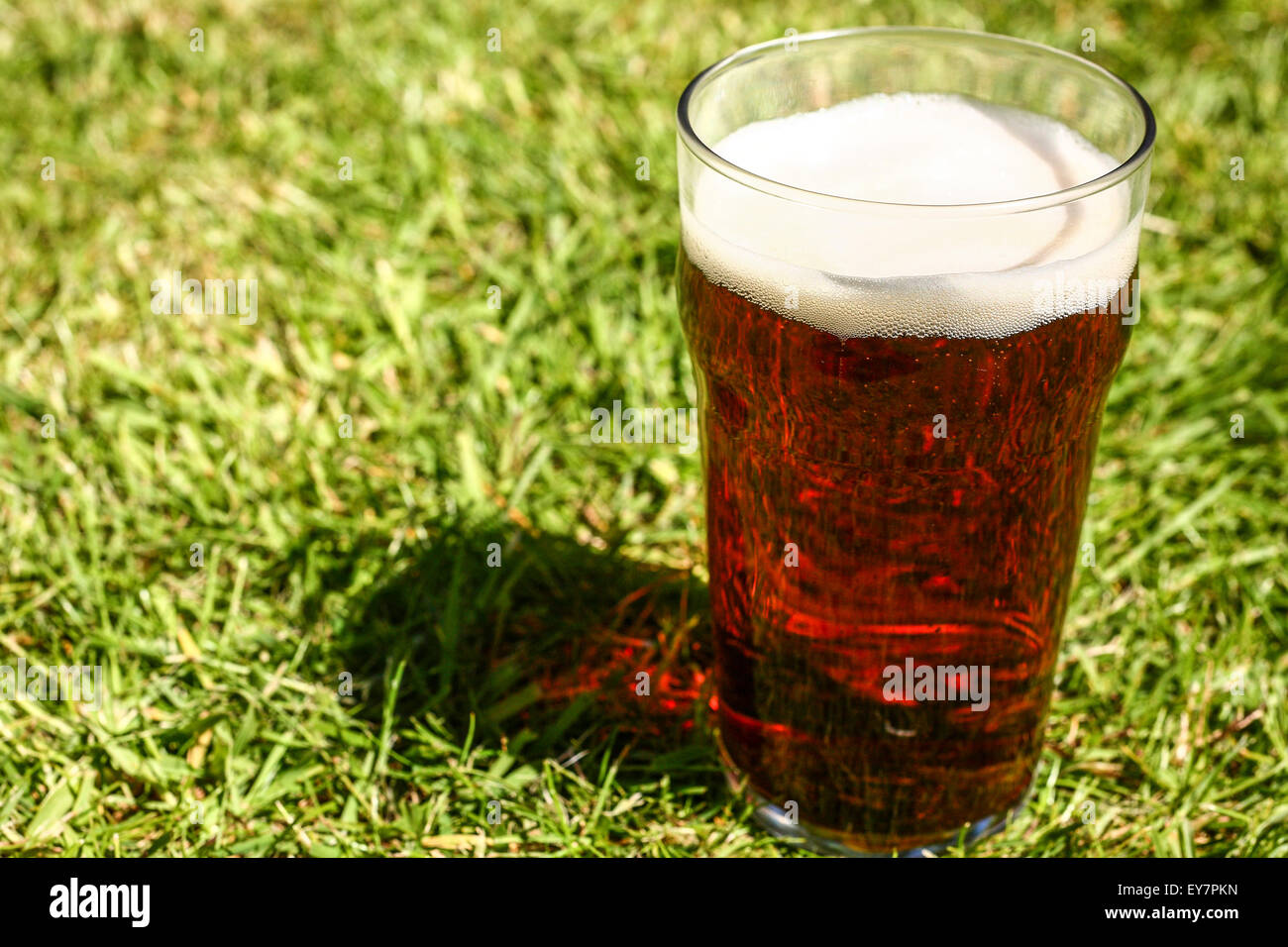 Vetro pinta di birra amara su un prato Foto Stock