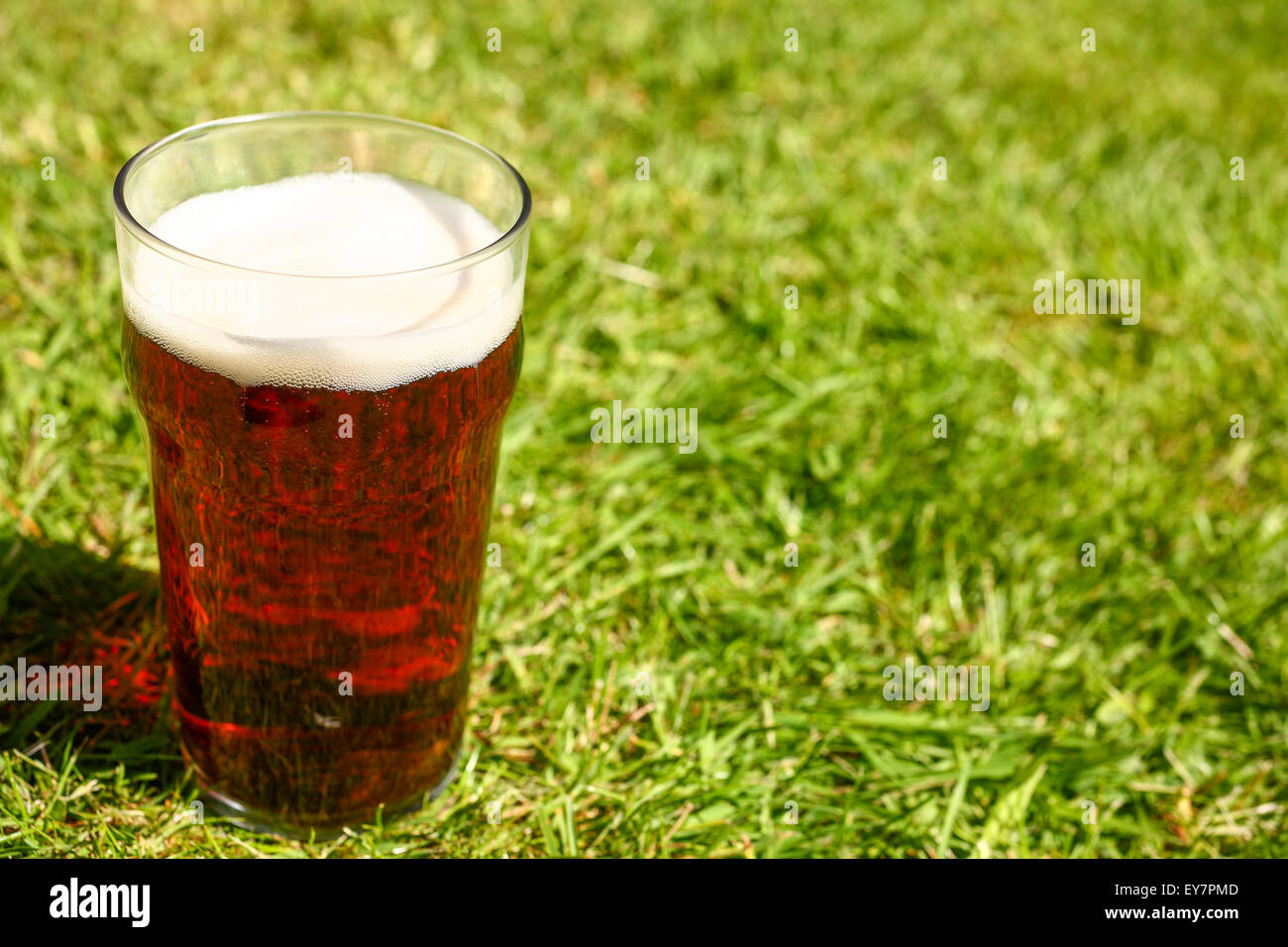 Vetro pinta di birra amara su un prato Foto Stock