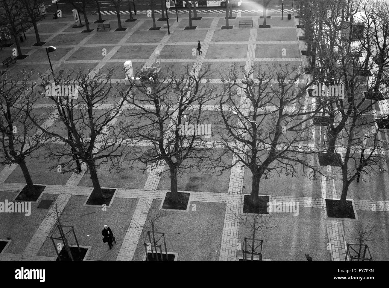Quadrati di Rue Louis Brindeau, Le Havre, Francia Foto Stock