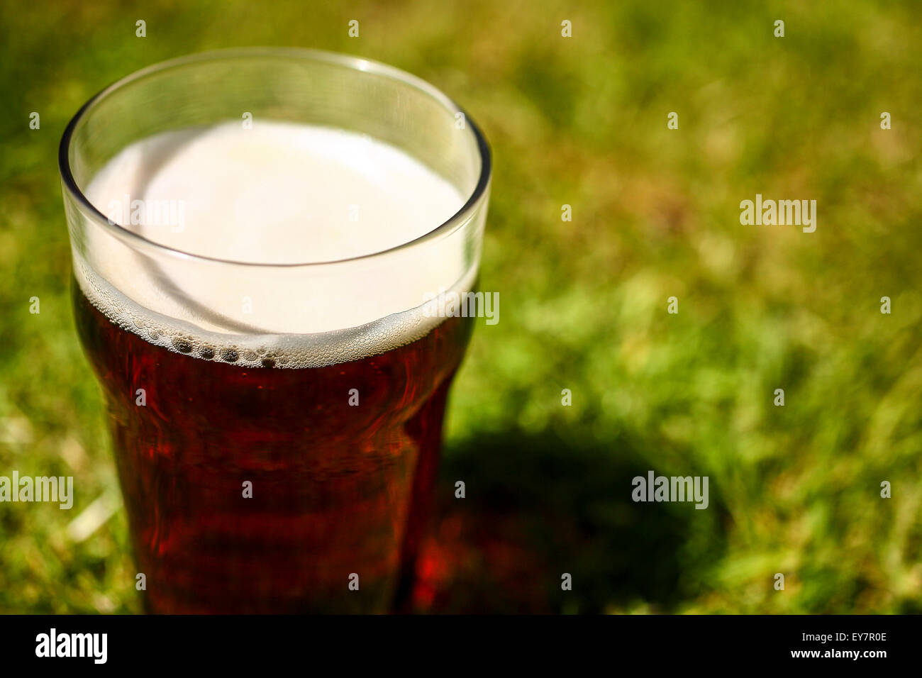 Vetro pinta di birra amara su un prato Foto Stock