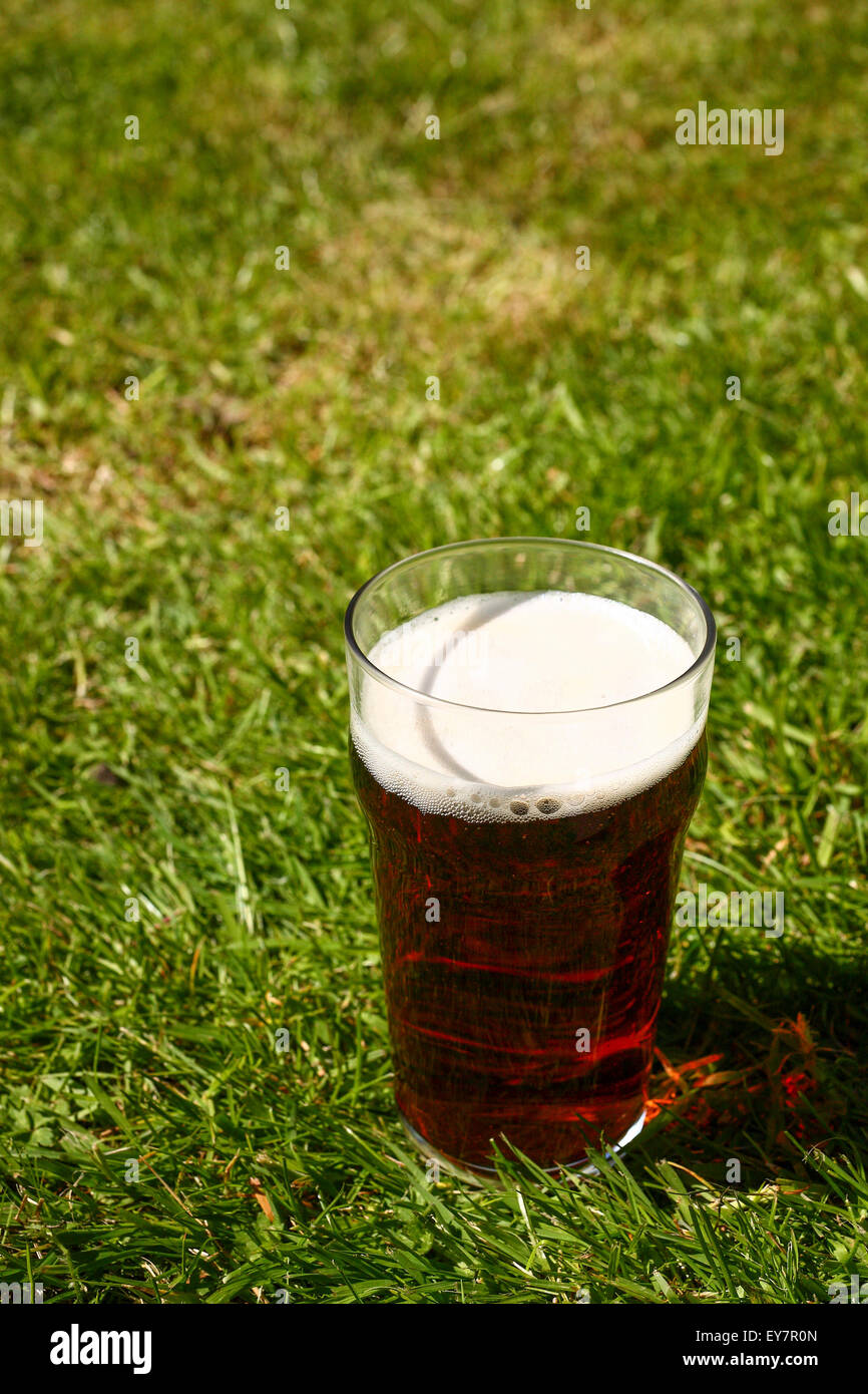 Vetro pinta di birra amara su un prato Foto Stock