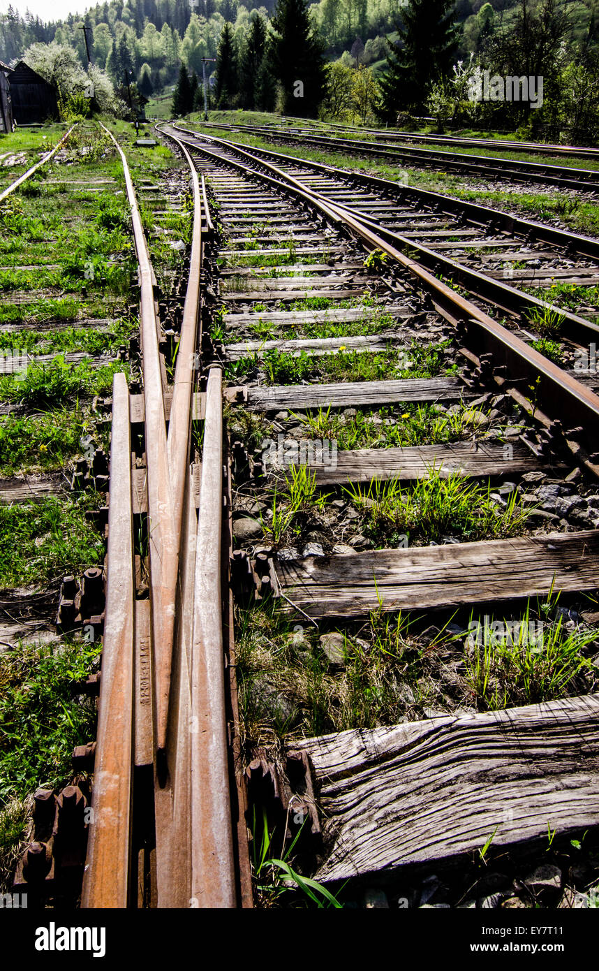 Ferrovie in rumeno di campagna Foto Stock