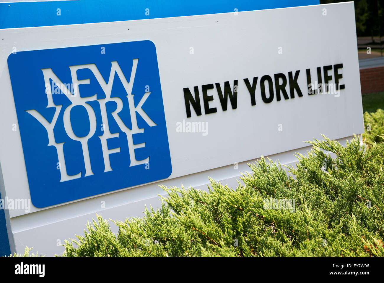 Un segno del logo al di fuori di una struttura occupata dal New York Life Insurance Company di Glen Allen, Virginia, il 19 luglio 2015. Foto Stock