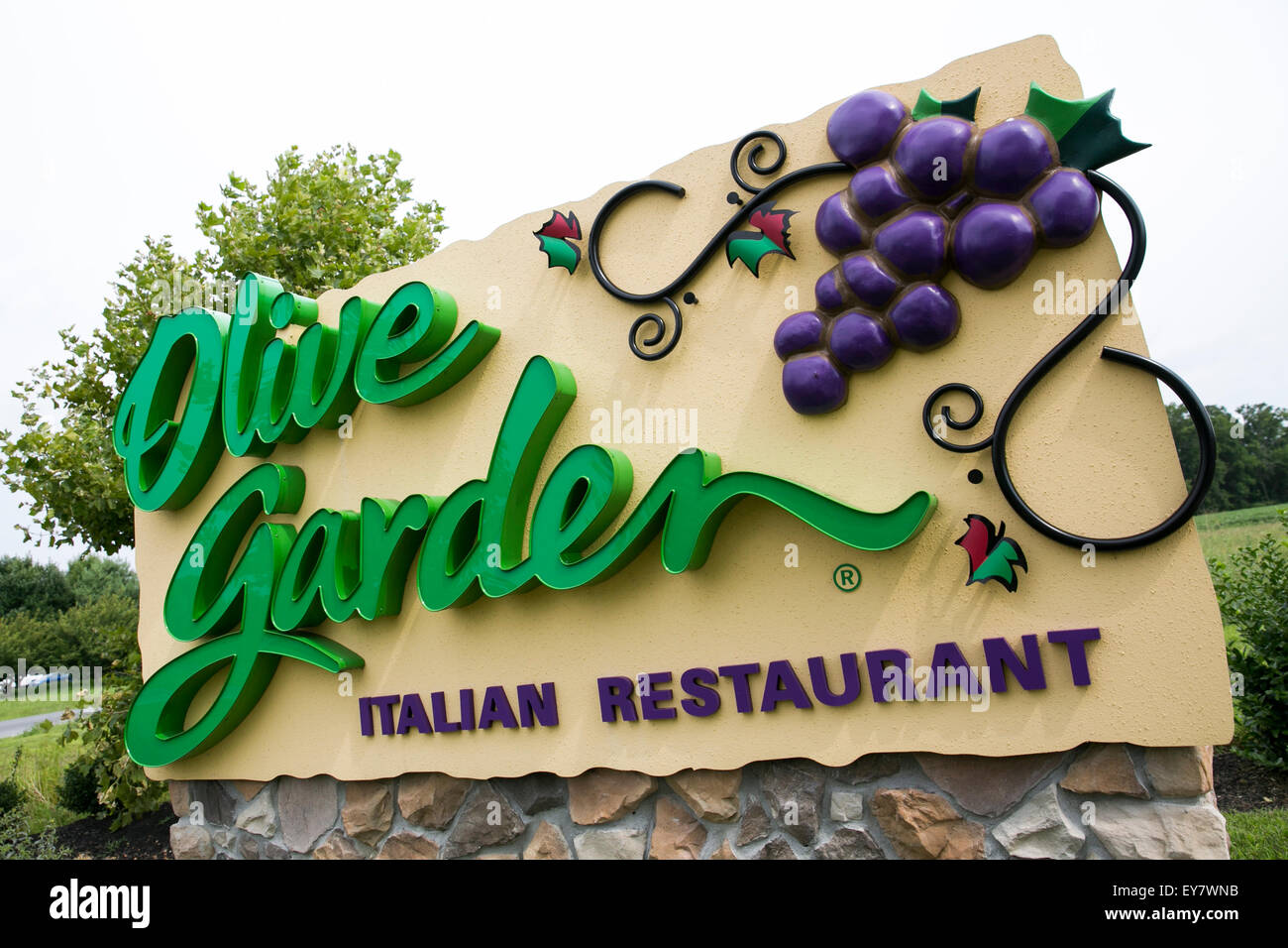 Un segno del logo al di fuori di un Olive Garden Restaurant ubicazione a Easton, Maryland il 18 luglio 2015. Foto Stock