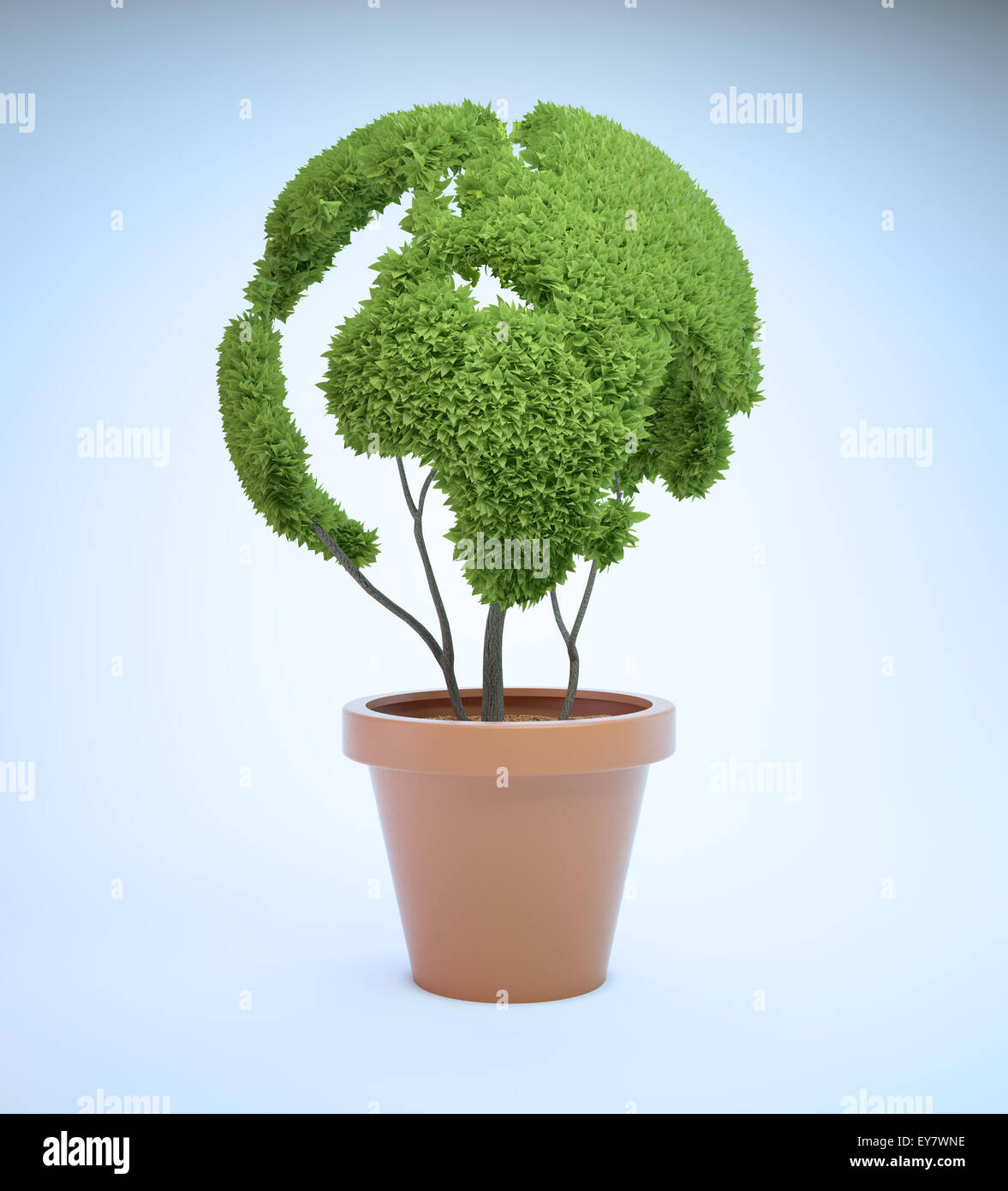 Pot pianta conformata come una mappa del mondo - Ecologia e verde il concetto di stile di vita Foto Stock