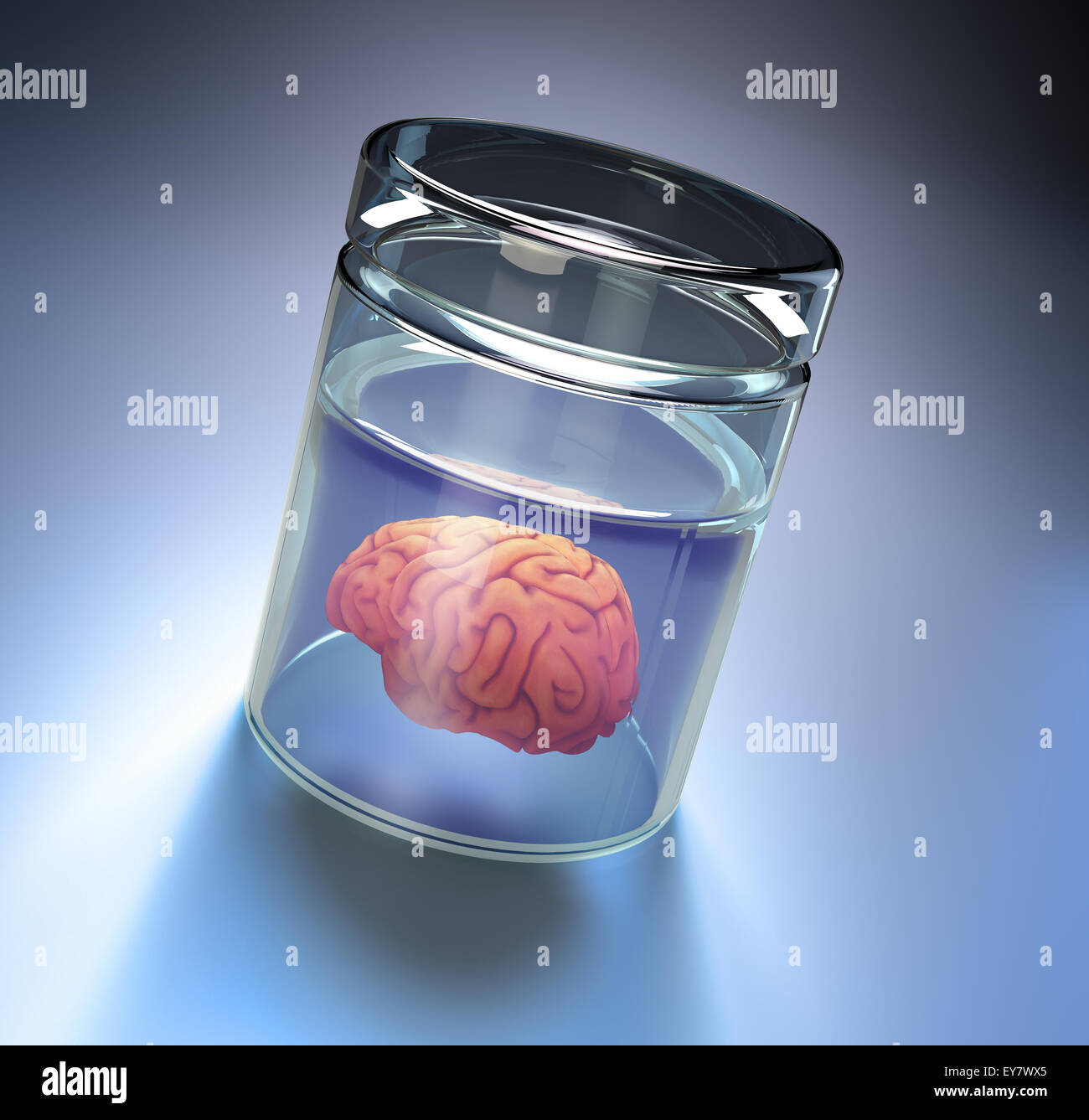Cervello umano in un vaso di grandi dimensioni Foto Stock