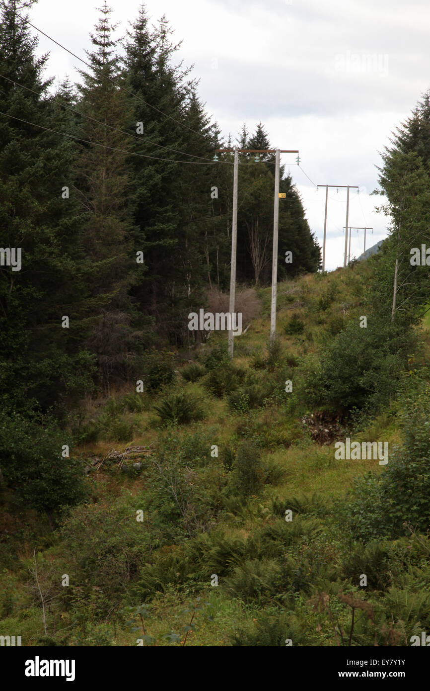 I pali dell'elettricità sulla montagna in Norvegia Foto Stock