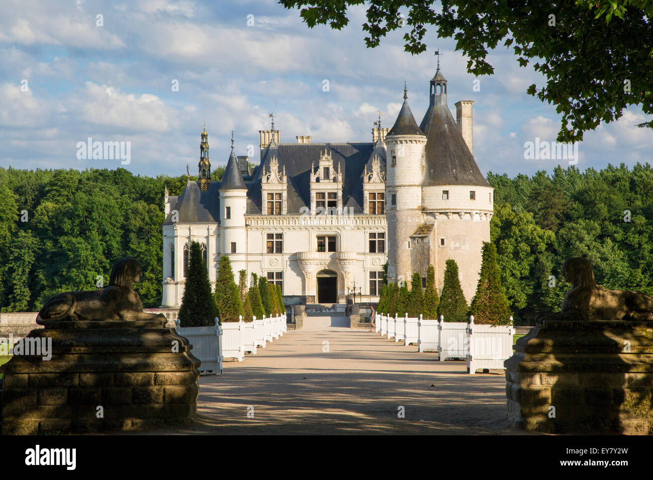 La passerella che conduce al Chateau de Chenonceau nella Valle della Loira, Centro Francia Foto Stock