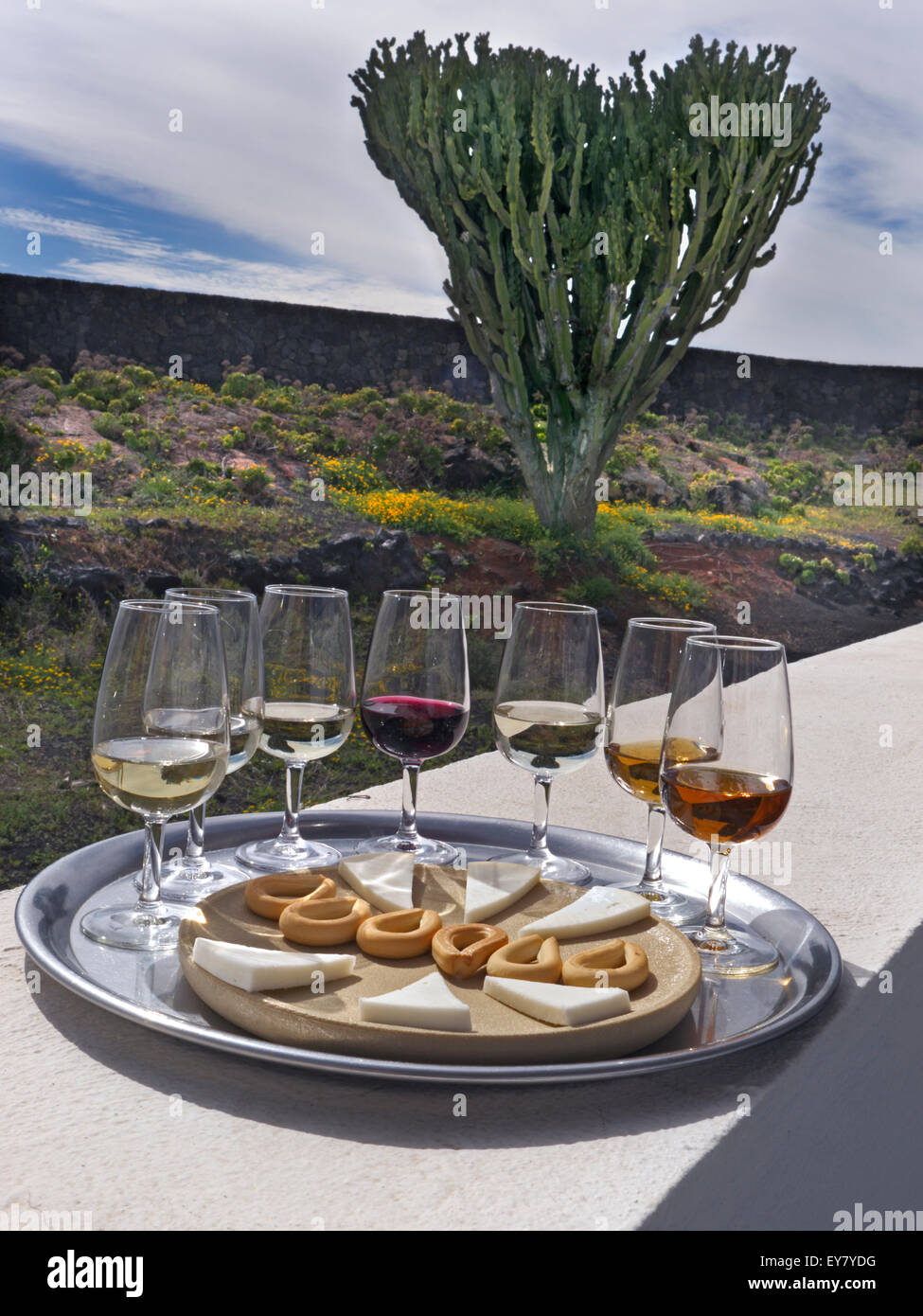 Alfresco sunny degustazione vino situazione con vino rosso e bianco, selezione di formaggi e biscotti secchi in giardino cantina Foto Stock