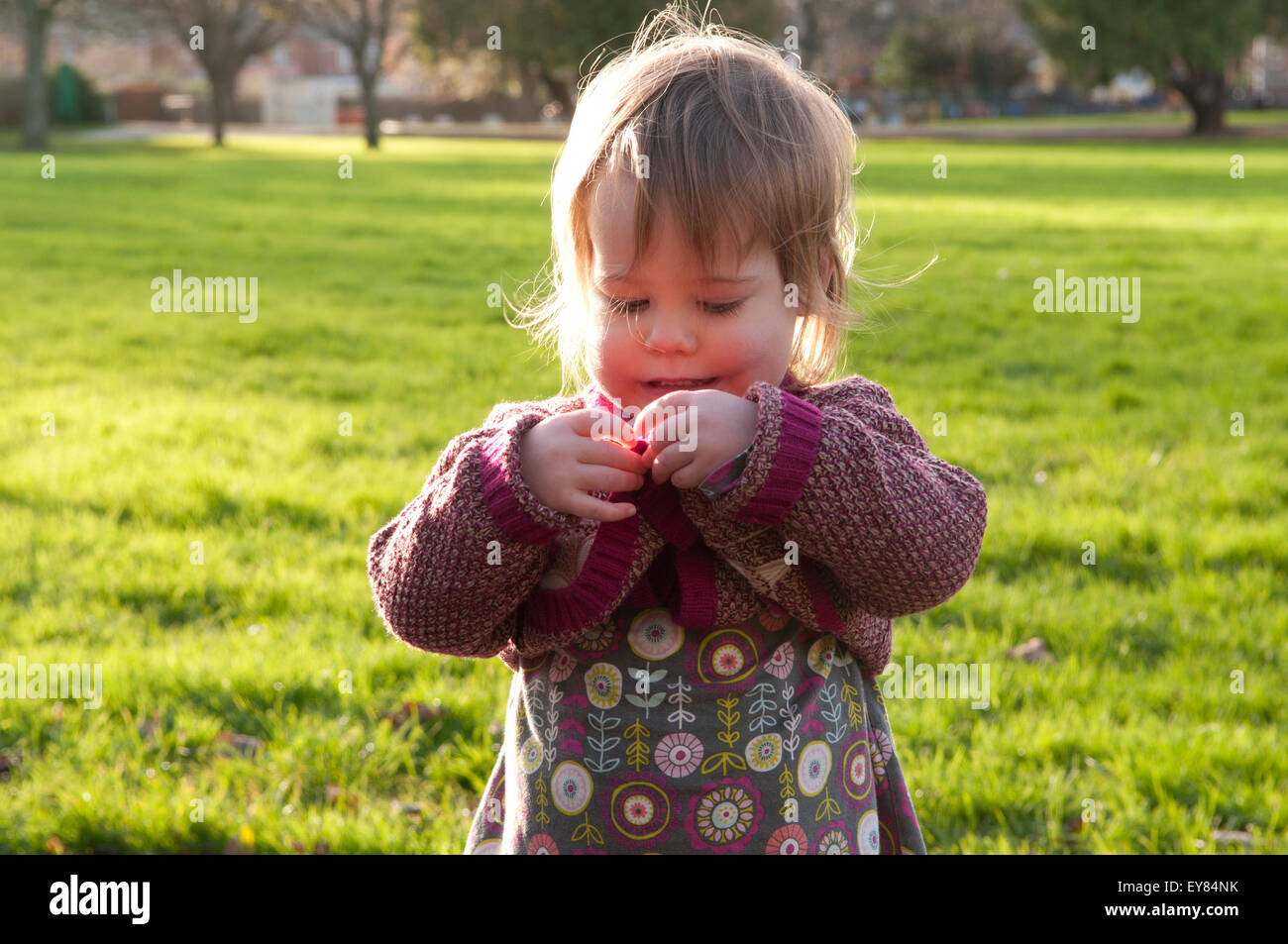 Bambina cerca di fare il suo pulsanti sul suo cardigan Foto Stock