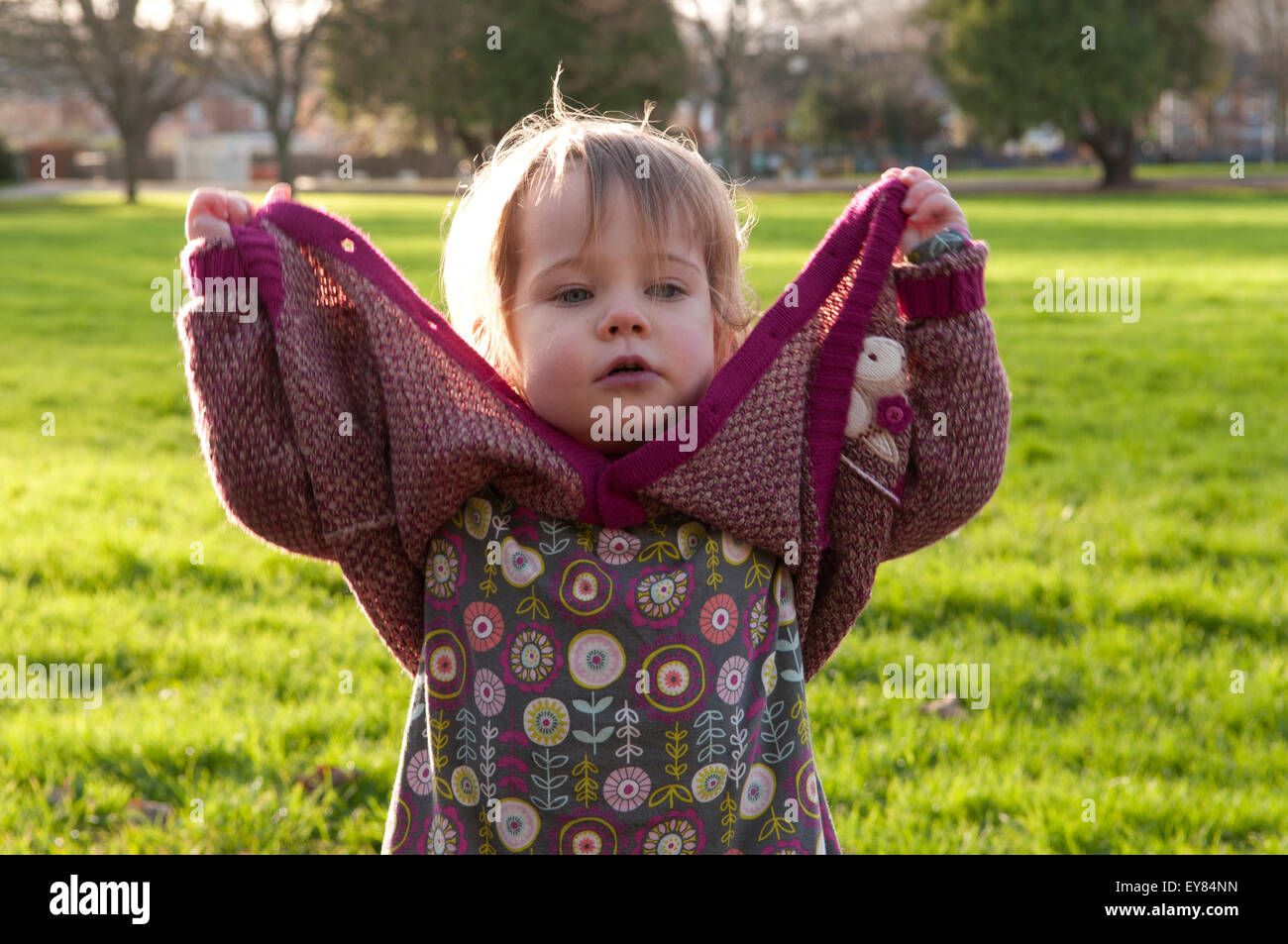 Bambina cerca di fare il suo pulsanti sul suo cardigan Foto Stock
