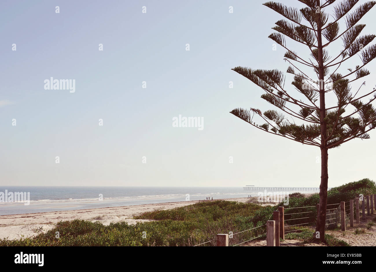 Spiaggia australiana e l'oceano paesaggio, prese a Henley Beach, Australia del Sud, con Grange Jetty in background, con applicata vint Foto Stock