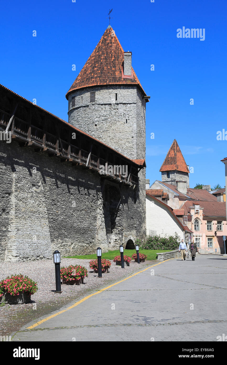 Parete della città con torri sul bordo occidentale della città bassa, Tallinn, Estonia Foto Stock