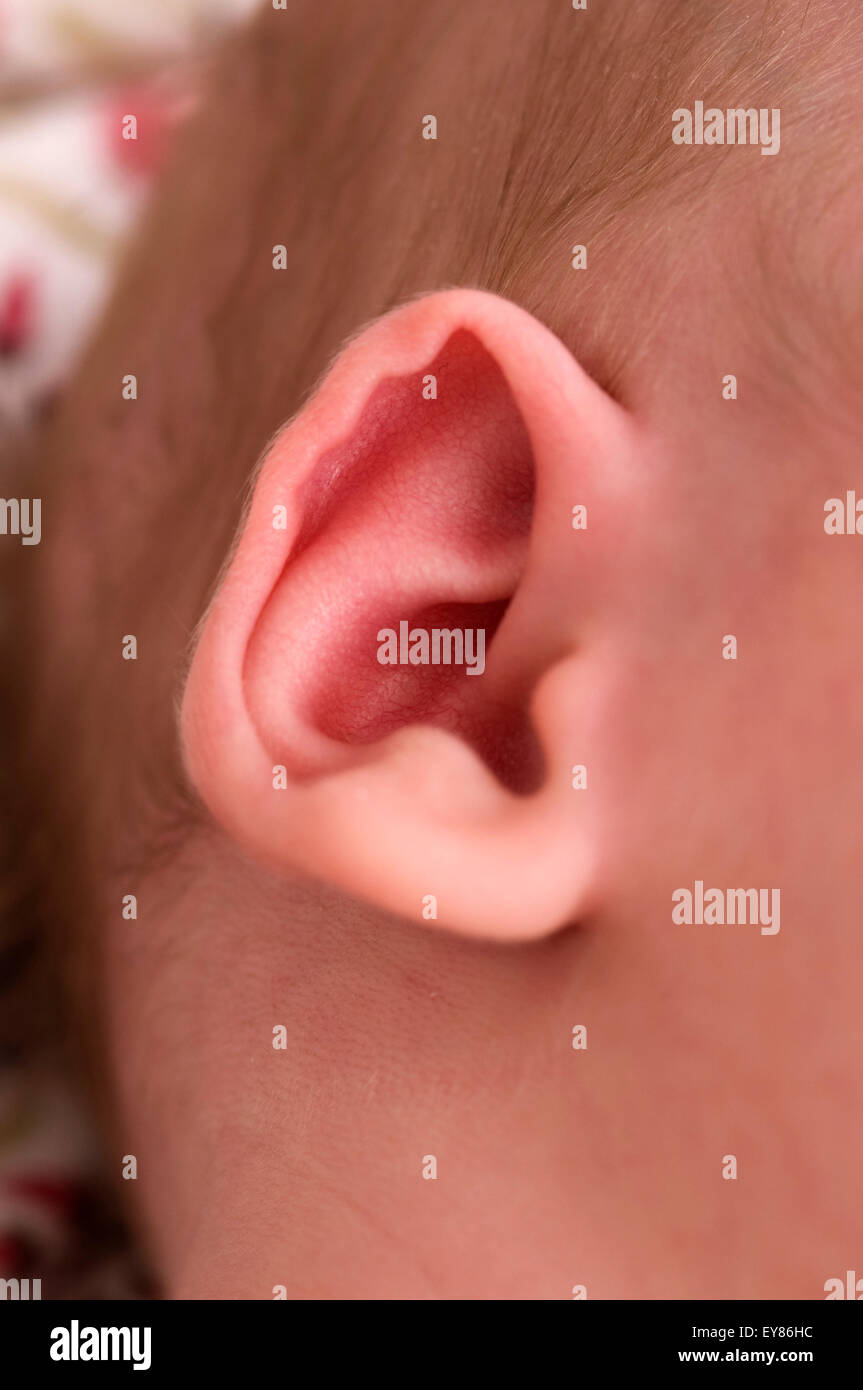 Close up del neonato l orecchio Foto Stock