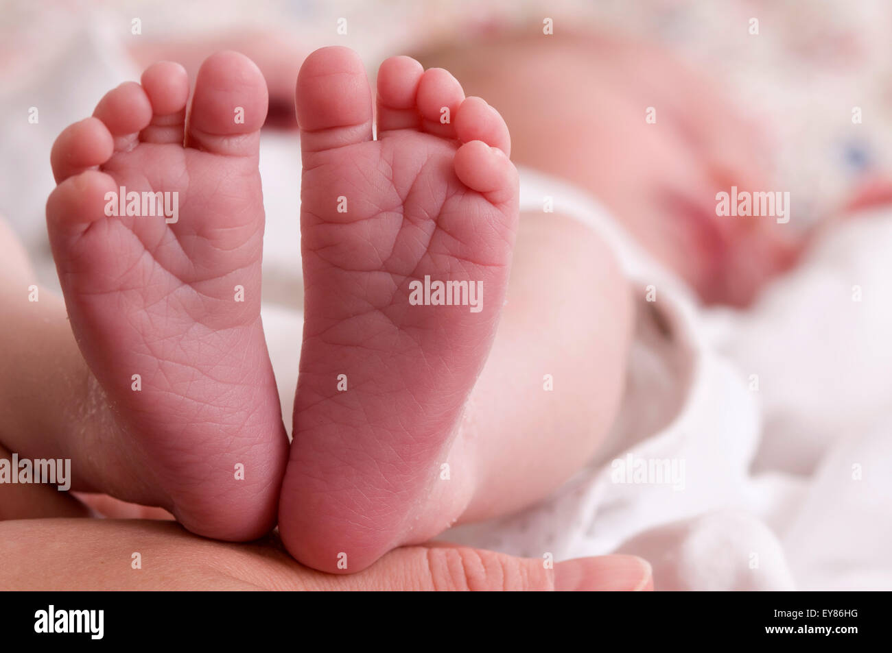 Close up del neonato i piedi Foto Stock