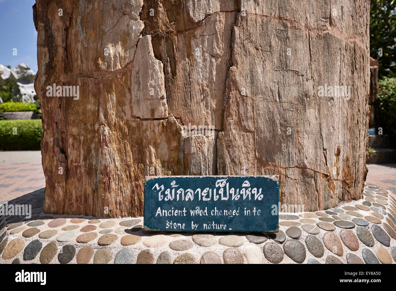Legno pietrificato che si trasforma in pietra come fenomeno naturale. Milione anno Stone Park Pattaya Chonburi Thailandia S. E. Asia Foto Stock