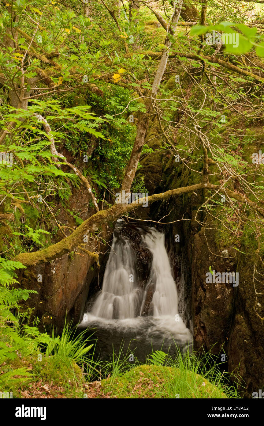 Cascata sul Buchan masterizzare in Glen Trool Foto Stock